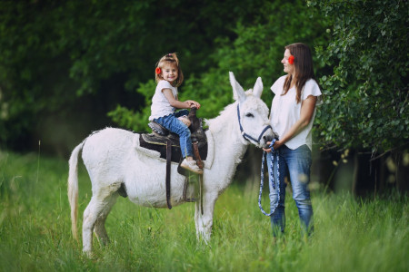 /products/navsteva-farmy-vcetne-komentovane-prohlidky-trail-parku-a-svezeni/